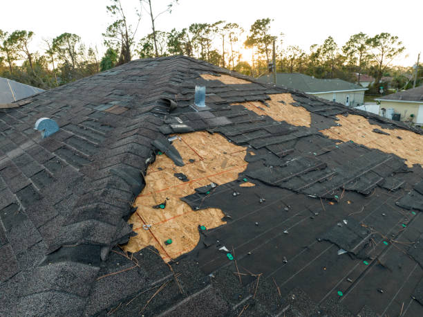 Best Commercial Roofing Services  in Rib Mountain, WI